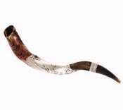 Shofar:  Yemenite Ceremonial Silver Plated - Small